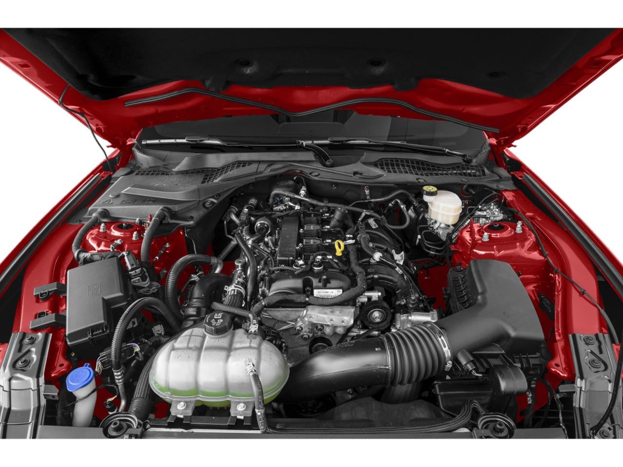 2022 Ford Mustang EcoBoost Fastback