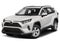 2019 Toyota RAV4 XLE AWD (Natl)