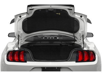 2021 Ford Mustang Mach 1 Fastback