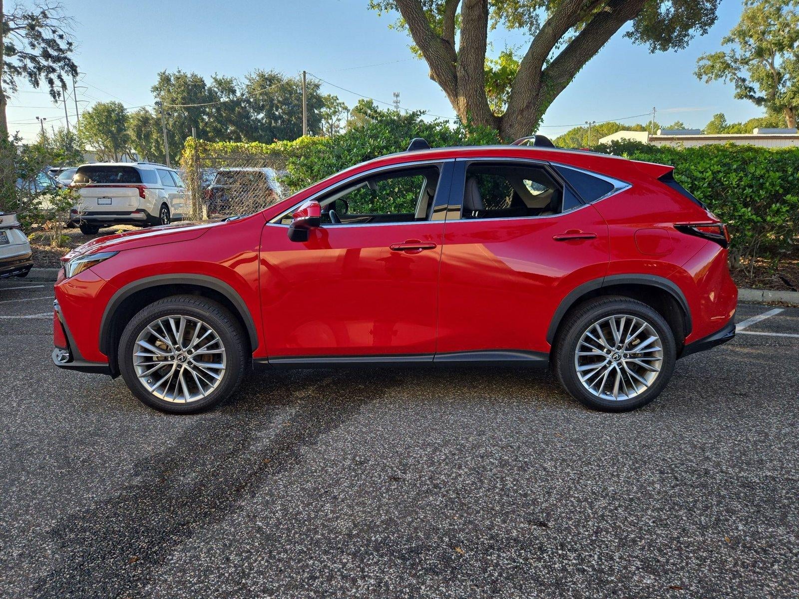 2025 Lexus NX 350h Premium AWD
