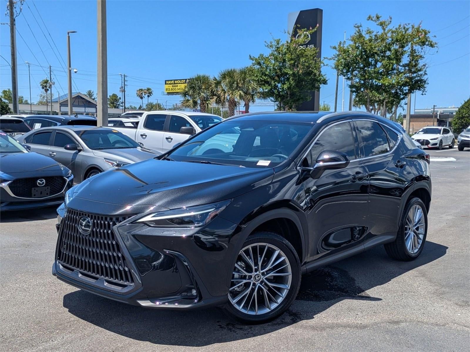 2023 Lexus NX 350 Luxury AWD