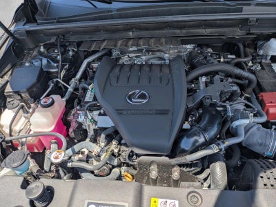 2023 Lexus NX 350 Luxury AWD