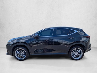 2023 Lexus NX 350 Luxury AWD
