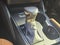 2025 Lexus ES 350 FWD