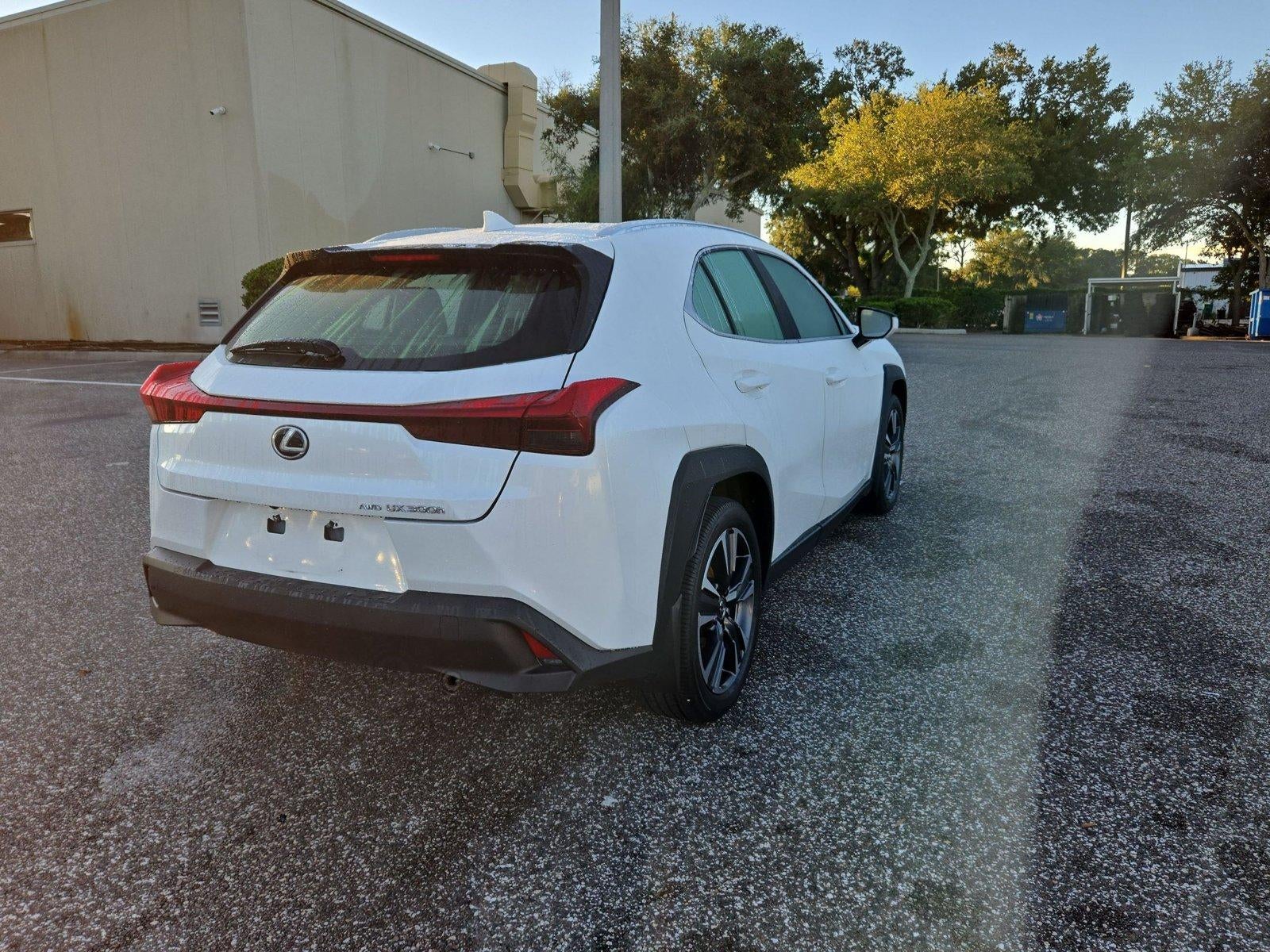 2025 Lexus UX 300h AWD