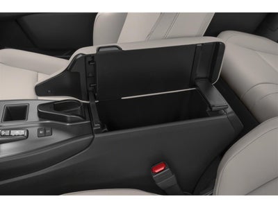2025 Lexus UX 300h AWD