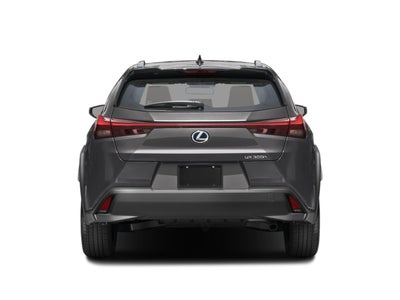 2025 Lexus UX 300h AWD