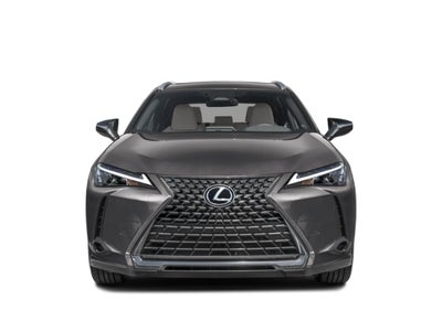 2025 Lexus UX 300h AWD