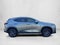 2024 Lexus NX 250 FWD