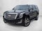 2019 Cadillac Escalade 4WD Luxury