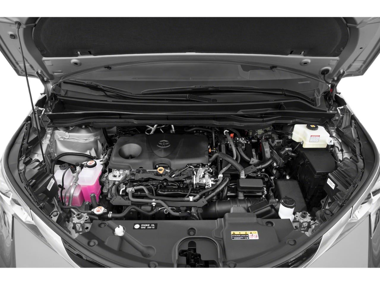 2023 Toyota Sienna Platinum FWD 7-Passenger (Natl)