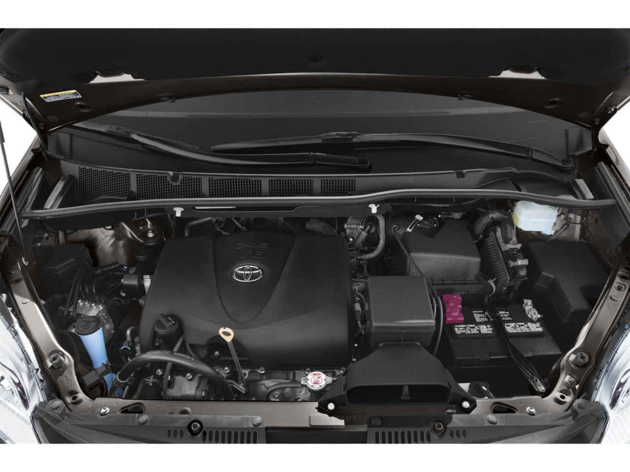 2019 Toyota Sienna L FWD 7-Passenger (Natl)